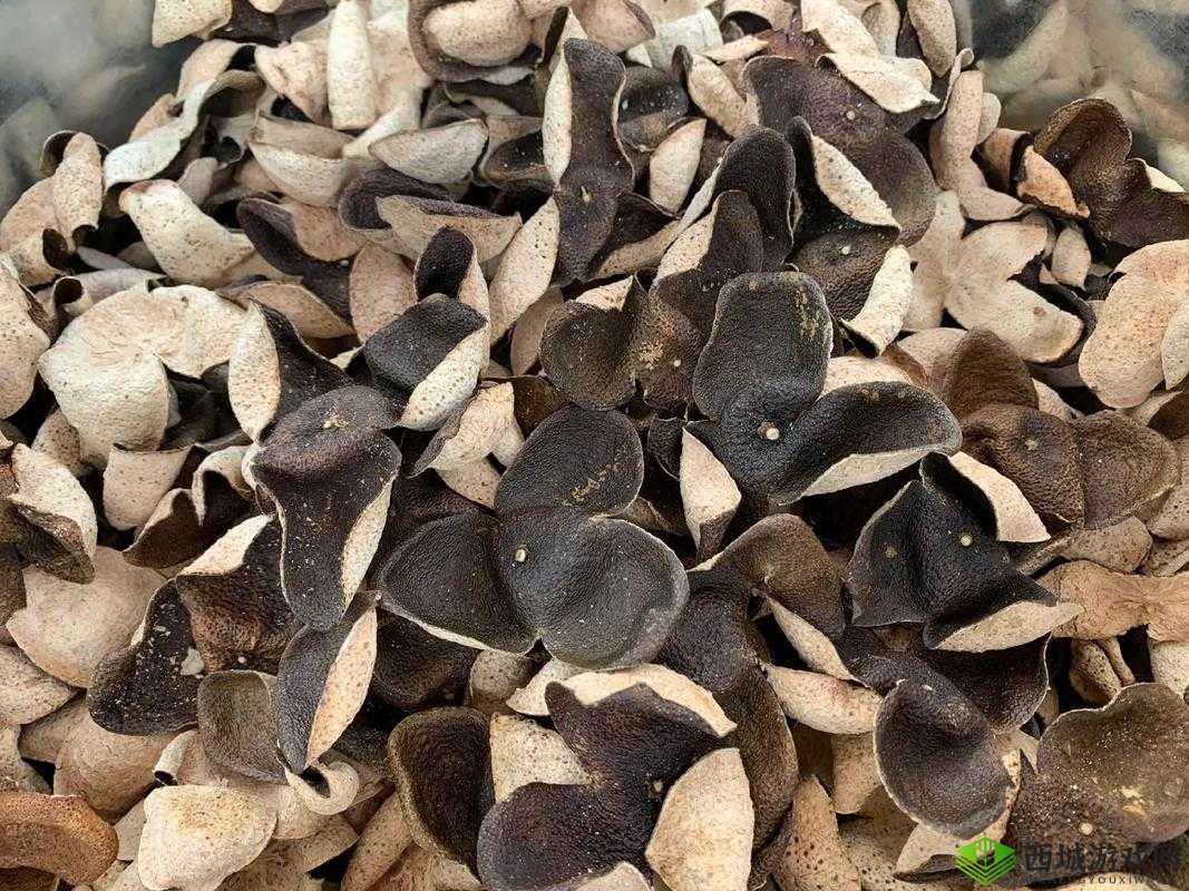 久一线产区、二线产区、三线产区皆不会卡