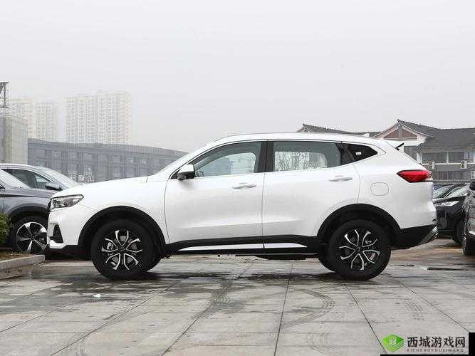 好看的suv 视频大全图片高清版：精彩呈现