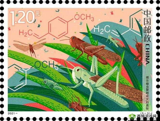 探索 B BBB×ⅩⅩⅩ 背后的奥秘