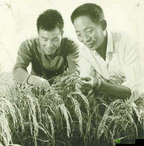 初摄五十路：岁月留痕的影像记录