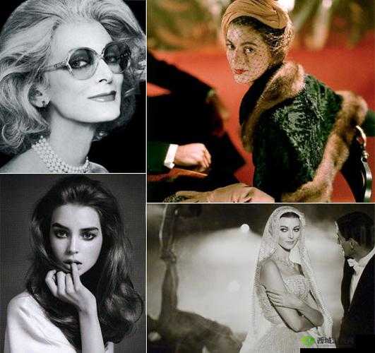 外国老女人乄乄 OO 的传奇人生