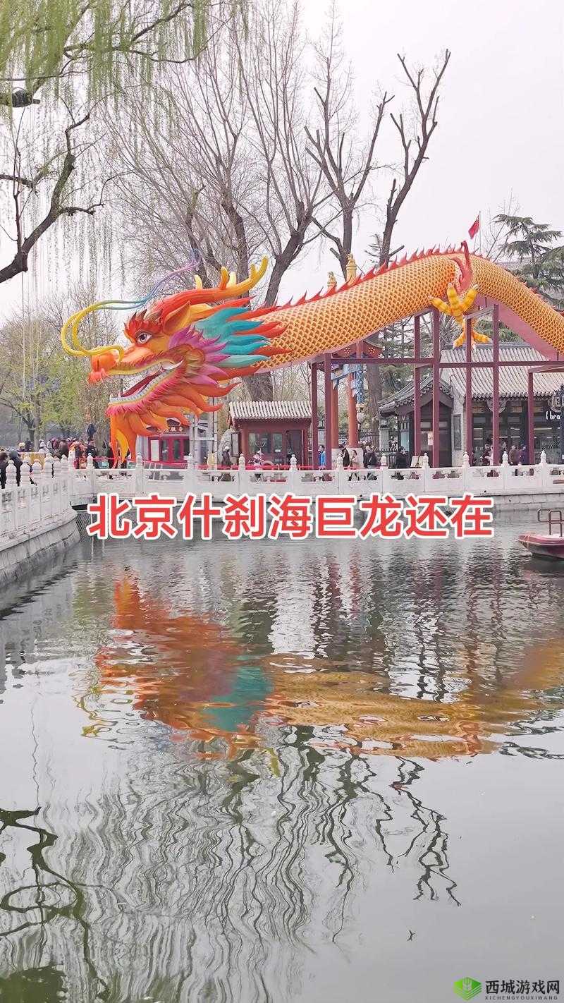 早上醒来发现巨龙还在：巨龙仍在，我该怎么办？