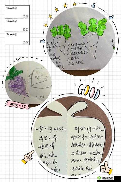 女孩子爱吃男生的胡萝卜:背后的秘密