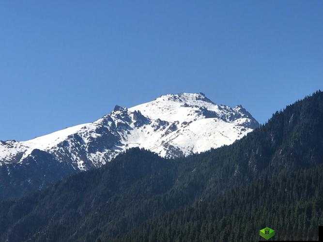 高耸的雪峰衬着巨大的蓝天对吗:引发的思考