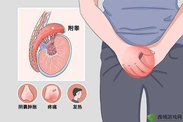 男生的小蛋蛋疼咋回事：原因大揭秘