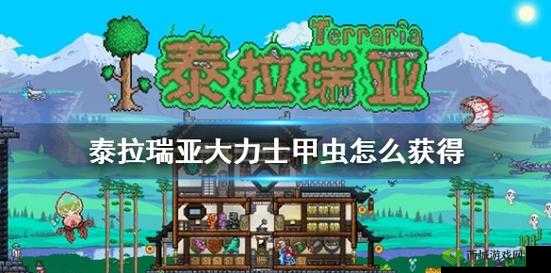 泰拉瑞亚大力士甲虫获取攻略：探索游戏中的隐藏地点与获取方法详解