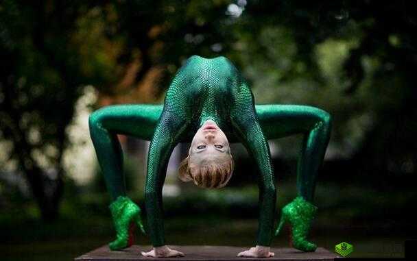 1377 大但人文艺术表演:一场独特的艺术盛宴