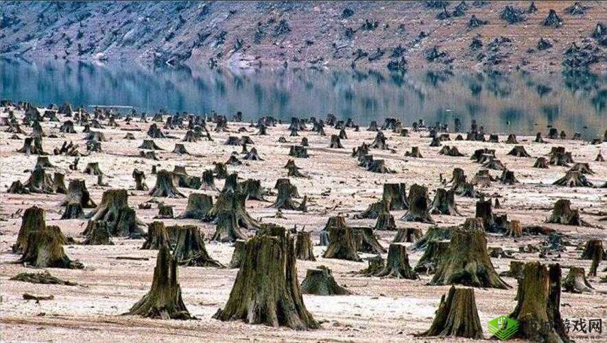 乌染 lipin9com 羊羊：一场引人深思的网络事件