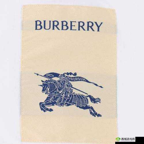 BURBERRY 中文免费版:时尚经典来袭