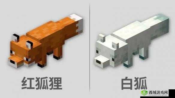 驯服我的世界中的狐狸：详细步骤与技巧指南