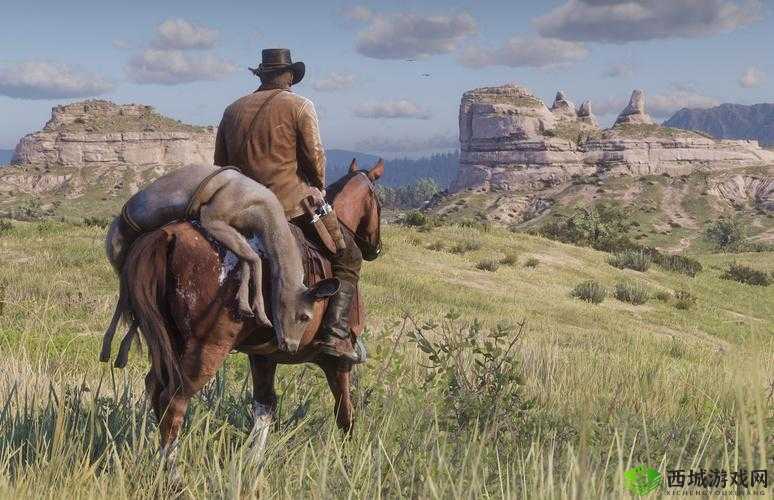 荒野大镖客大妈：西部传奇之旅