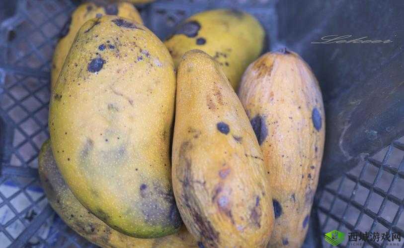 往小洞里放水果榨果汁会引发的后果