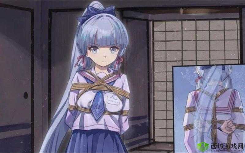 原神:神里绫华被盗宝团抓