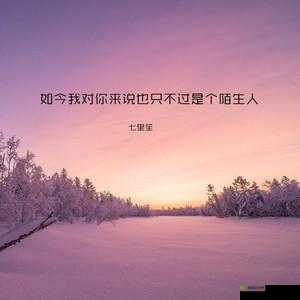 老婆说想找个陌生人试试复合：背后的隐情