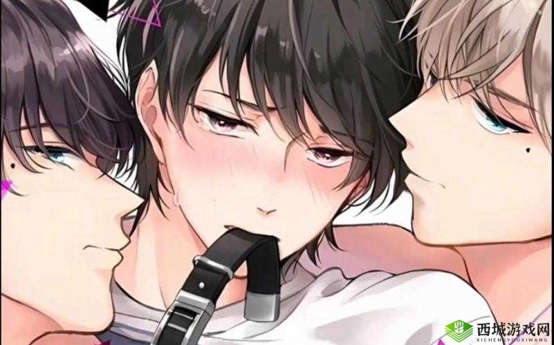 双胞胎一前一后夹心饼干双子全攻略:甜蜜诱惑