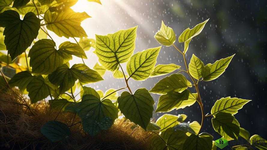 人马畜禽 company-limited:探索自然与科技的奇妙融合