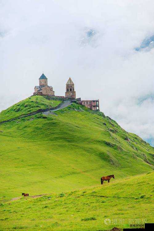 火焰纹章英雄萨娜姬全方位测评 聚焦绿色选择的深度剖析