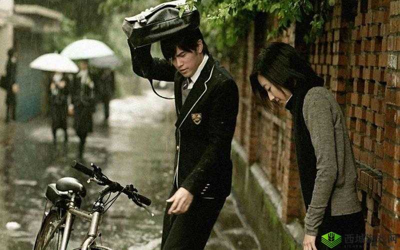 《周杰伦的旋律：在线观看还在流浪的深情MV之旅》