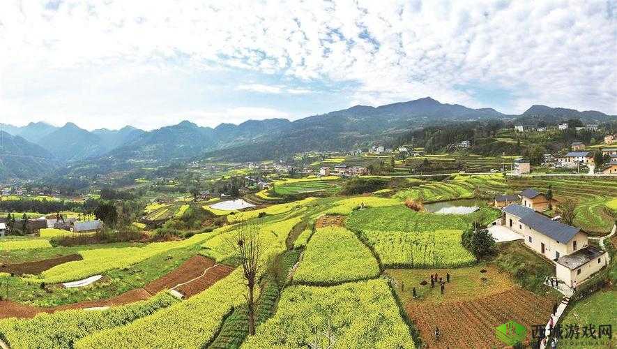 hlw 黑料热点事件-黑料不打:深挖背后真相