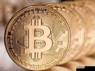 7X7X7X 任意槽 2024 进口新特性解析