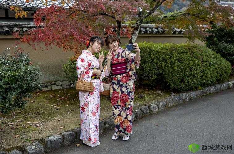 XXXX 日本：独特的文化与风情之旅