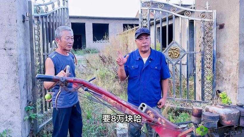 大象回家 2024 秘密人口：探寻背后真相