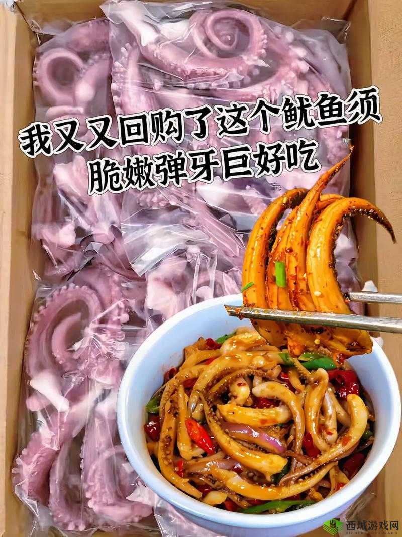 BY9225鱿鱼官网换哪了：相关情况解析