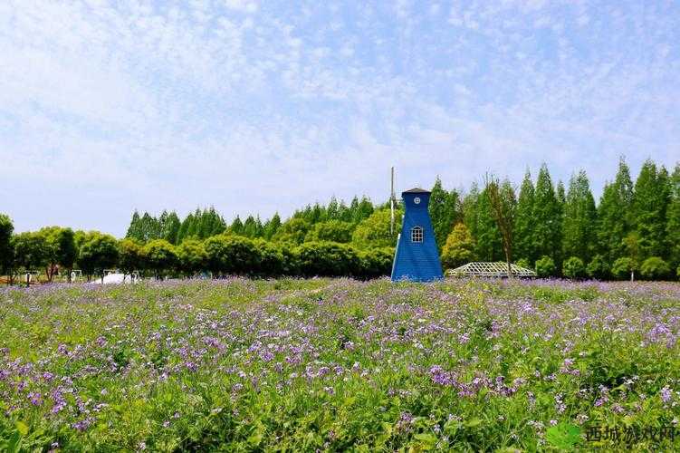 新洲区香草伊甸园景区：梦幻之旅等你开启