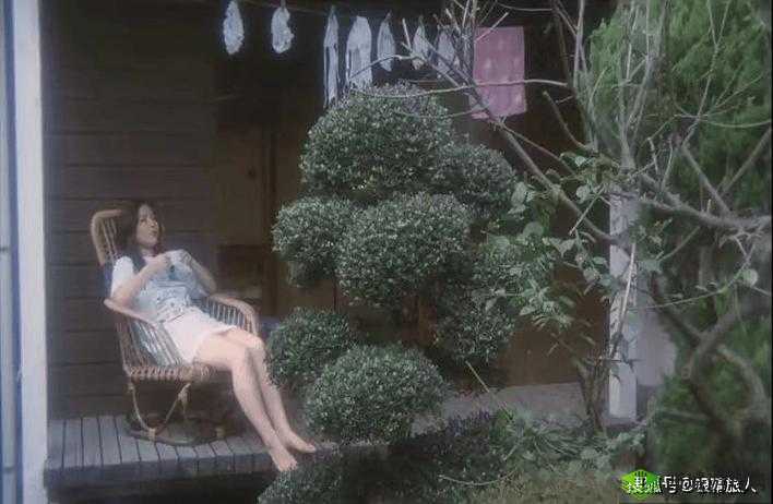 千乐啪啪:一个独特的存在