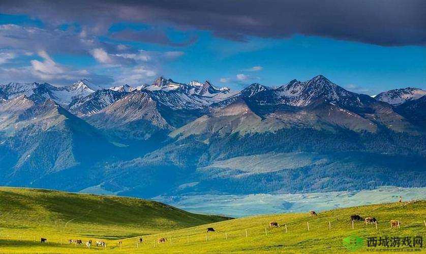 新疆XXXXXL196-探寻神秘地域的壮丽风光