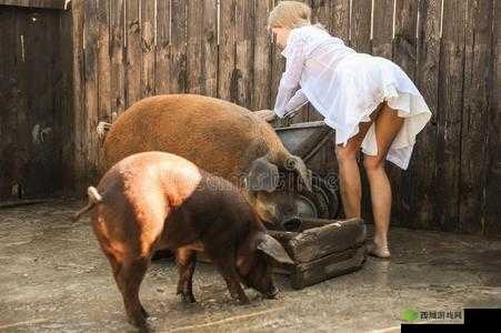 高清人和猪又细又长像钻头：奇特的现象