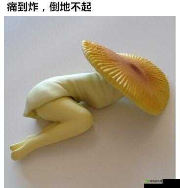 17c 爆料独家揭秘蘑菇精彩内容