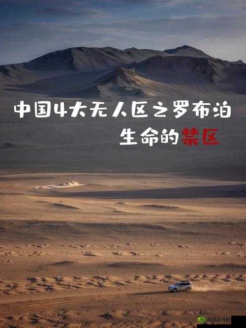 亚洲无人区码一二三四区别之探秘