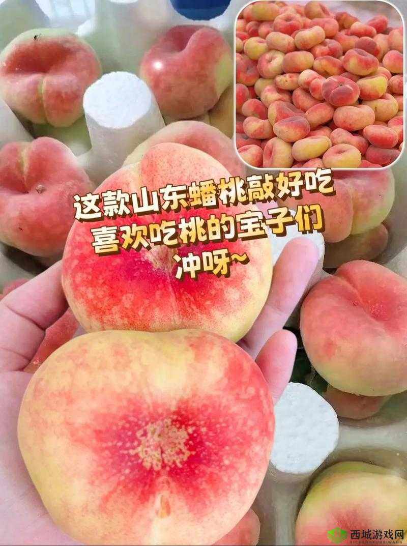 夏日必备：清爽蜜汁桃桃，让你一口爱上
