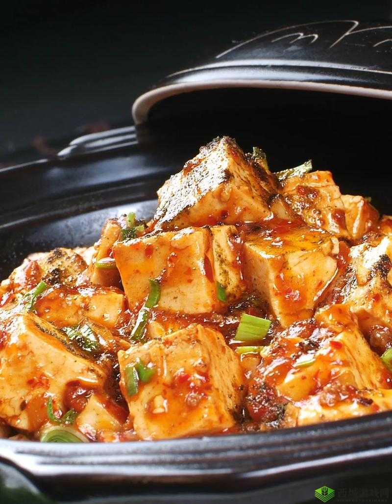 麻婆传谋:鲜香麻辣的美食传奇