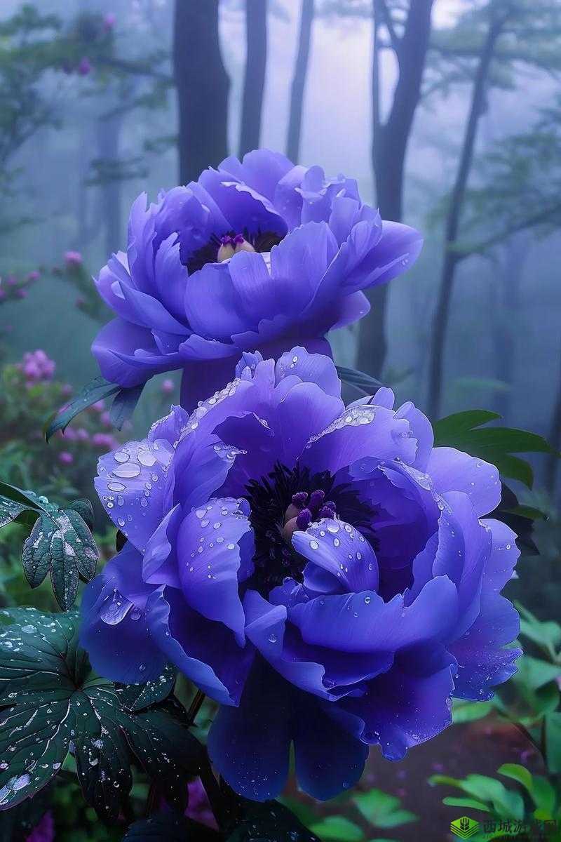 国色天香网:探寻独特之美