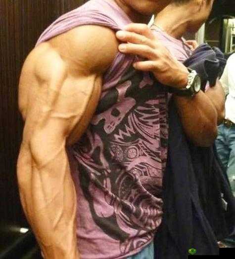 关于失落记忆手臂翻转方法及如何进行翻转的全面探讨