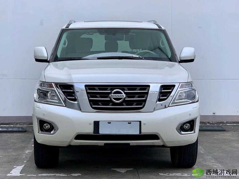 日产乱码一二三区别免费:实际情况解析