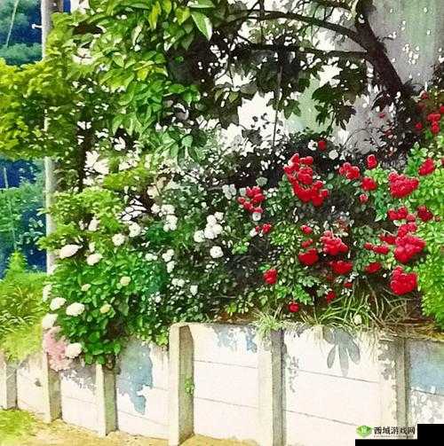 aby8 映射画:独特艺术之展现