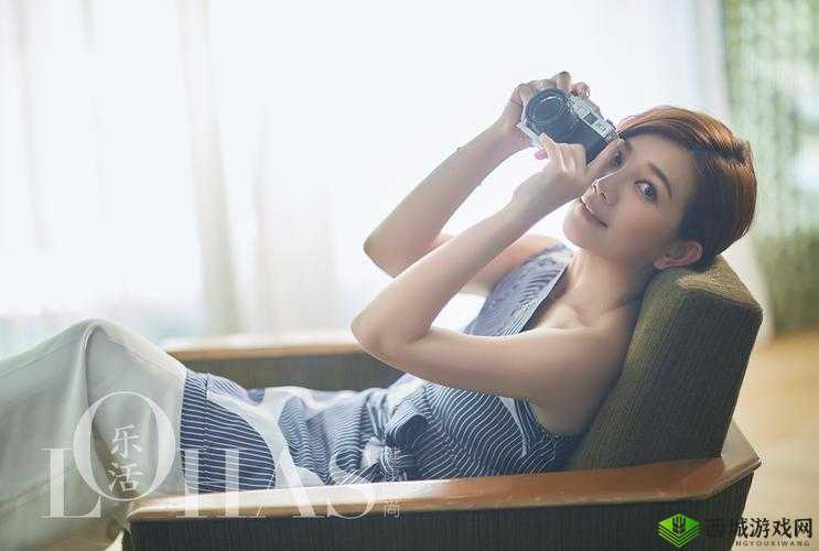 十 8 模软件 19713：一款强大的软件