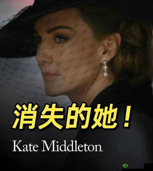 无法满足1980意大利呼叫合：背后的真相