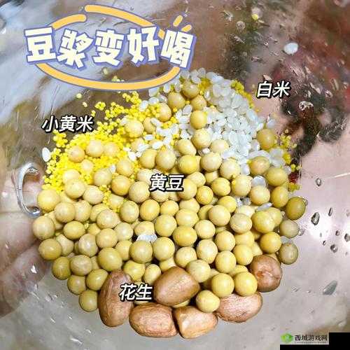 自制豆浆难题解：实用技巧与经验分享