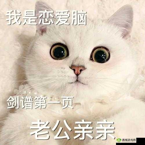 老公亲我私下,被迫取消,我这样回应