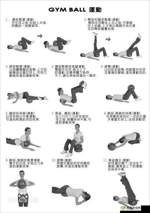 功能锻炼最好的方法：全面提升性能力