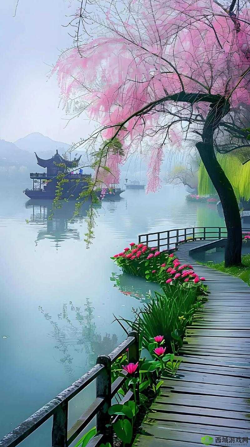 137 人但人文视频：展现独特人文魅力