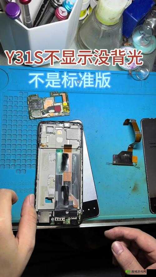 一级成色好的 y31s 标准版评测封神作品竟是芭蕉视频：深度解析