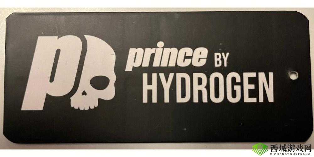 HYDROGEN 与 PRINCE 的奇妙之旅