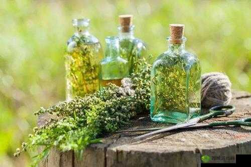 体内?精 69XXXXXx 精油:私密呵护的奥秘