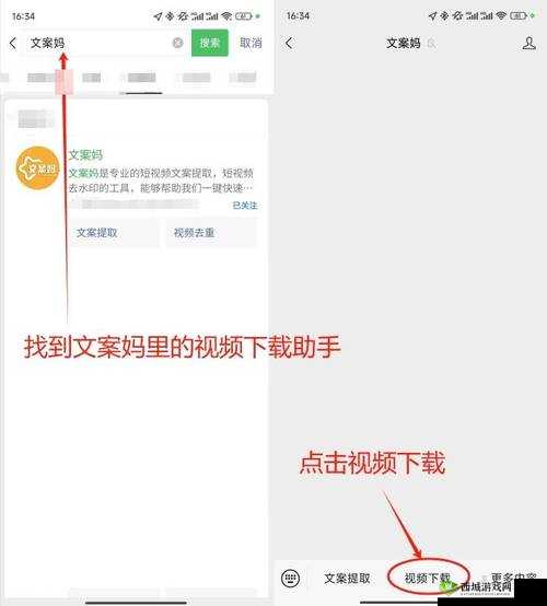 如何下载?秘?视频