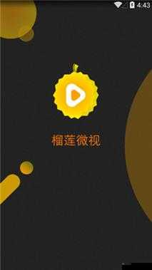榴莲微视 app 网站下载:畅享精彩视频资源